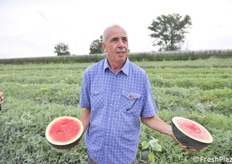 Sandro Colombi di Lamboseeds