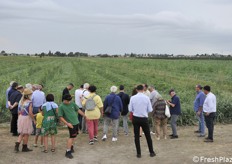 Presentazione ufficiale con visita in campo e uno stabilimento di lavorazione per il Consorzio Dolce Passione. A Sermide, presso l'azienda Lorenzini Naturamica, i vertici del Consorzio hanno presentato i dati della campagna anguria in corso. (fotoservizio Cristiano Riciputi)