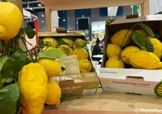 Il limone Costa D'Amalfi Igp in vetrina a Cibus 2024