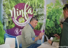 Gianluca Rossi di Ninfa (insalata coltivata in idroponica) 