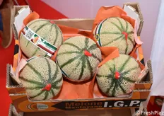 Meloni Mantovani IGP della OP Sermide Ortofruit. 