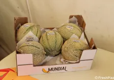 Il melone Mundial di Nunhems