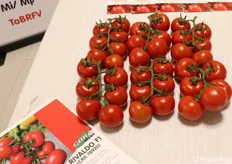 Rivaldo F1, pomodoro tondo liscio, indicato anche per le coltivazioni in bio