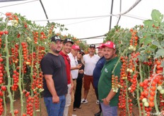 Il Consorzio del Pomodoro di Pachino IGP,  in collaborazione con il Consorzio delle Denominazioni di Origine Siciliana, ha organizzato un Educational Tour con l'intento di far conoscere meglio l’importanza di un prodotto lungo la filiera: "dalla pianta al consumatore".Il programma dell'evento, tenutosi il 18 luglio 2024, ha visto un primo incontro presso l’azienda di produzione GSG Sipione e, a seguire, una visita presso l’azienda Proagri che è un centro di confezionamento del Pomodoro di Pachino Igp. Nel corso della giornata formativa sono stati spiegati, per l'appunto, i vari passaggi che vanno dalla produzione al confezionamento, alla distribuzione per finire al consumatore finale. Nella foto: un gruppetto di visitatori, facenti parte dell'educational tour, in serra per constatare lo stato di avanzamento della produzione di un pomodoro ciliegino.