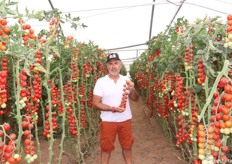 Giuseppe Sipione mostra un grappolo di ciliegino della sua produzione