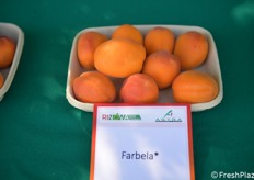 Farbela presenta ottima produttività