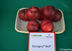 Romagna Red, un difetto è che perde pezzatura sui rami deboli 