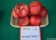 Romagna Bright ha sapore molto apprezzabile