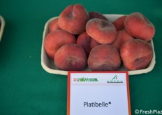 Platicarpe: Platibelle sfoglia al peduncolo