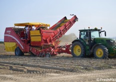 Terremerse ha messo in campo un incontro tecnico dedicato alla raccolta della patata da industria, mostrando un cantiere organizzato in modo tale da non fermarsi mai. Nell'occasione è stato possibile vedere all'opera il cantiere di Pizzoli, partner commerciale di Terremerse per questo prodotto all'interno del Programma Patata. L'evento si è svolto il 25 luglio 2024 a San Pancrazio (Ravenna) presso l'azienda agricola Bertaccini e Conficconi. (fotoservizio Cristiano Riciputi)