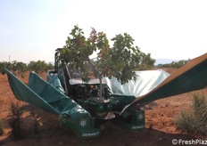 La macchina in fase di chiusura dell'ombrello