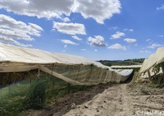 Panoramica esterna del vigneto visitato