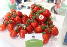 Proxi F1 è una varietà di pomodoro molto apprezzata dai produttori siciliani