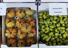 Pomodoro cuor di bue e datterino verde