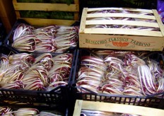 Radicchio classico tardivo presso lo stand Sempreverde.