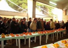 Folta partecipazione da parte del pubblico.