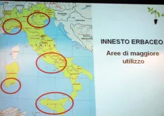 Principali aree di diffusione della tecnica del portinnesto in Italia.