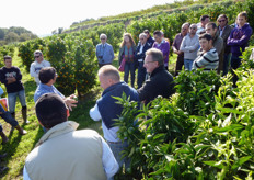 "Presso l'azienda agricola "Recoleta – Zuccarella" (Scanzano Jonico - MT) sono presenti impianti di clementine a maturazione precoce e a maturazione tardiva."