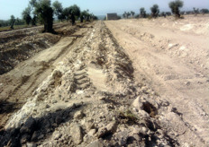 "Tipico terreno pugliese, con elevato contenuto di calcare totale ed attivo, ricavato dalla triturazione di macigni di tufo. Sulle "baula" (in fase di lavorazione, in foto) verrà realizzato un impianto di agrumi innestati su "Citranges". Azienda Agricola "Quero Patrizia" in Agro di Massafra (TA)."