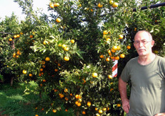 "Pianta di clementine "Spinoso VCR", presso l'Azienda Agrumicola del Sig. Franco Passeri (in foto) in agro di Palagiano (TA)."