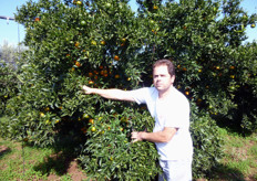 "Pianta di clementine "Caffin", presso l'Azienda Agrumicola del Sig. Mimmo Ligurgo (in foto), in agro di Massafra (TA)."