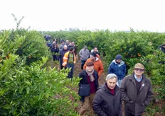 Le visite guidate rientrano in un intenso programma annuale di giornate tecniche, promosse e organizzate dal Consorzio Vivaisti Lucani, (COVIL) di Scanzano Jonico (MT), svolte direttamente negli agrumeti e frutteti.