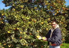 "Dell’ecotipo locale arancia "Staccia di Tursi e Montalbano" sono stati individuati diversi cloni. Il clone "Falciglia", la cui pianta capostipite è stata individuata presso l’Azienda Agricola di Vincenzo Falciglia (in foto) in localita' "Marone" agro di Tursi (MT), è risultato il più valido per la particolare qualità del frutto."
