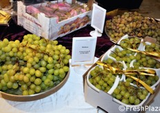 In esposizione, 10 varieta' di uva (Vittoria, Italia, Red Globe, Palieri, Melissa - in foto - Pizzutella, Crimson e tre cultivar di Arra). Oltre all'uva da tavola, sono state esposte anche insalate di IV gamma, spinaci, rucola e fragole.