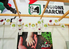 Stand AOP Marche Italia.