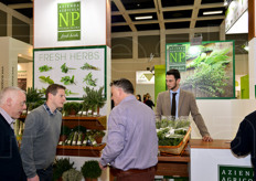 L'azienda agricola Nicola Palma di Capaccio (Salerno), specialista in erbe aromatiche fresche.