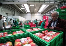 Pink Lady pronte per la commercializzazione.