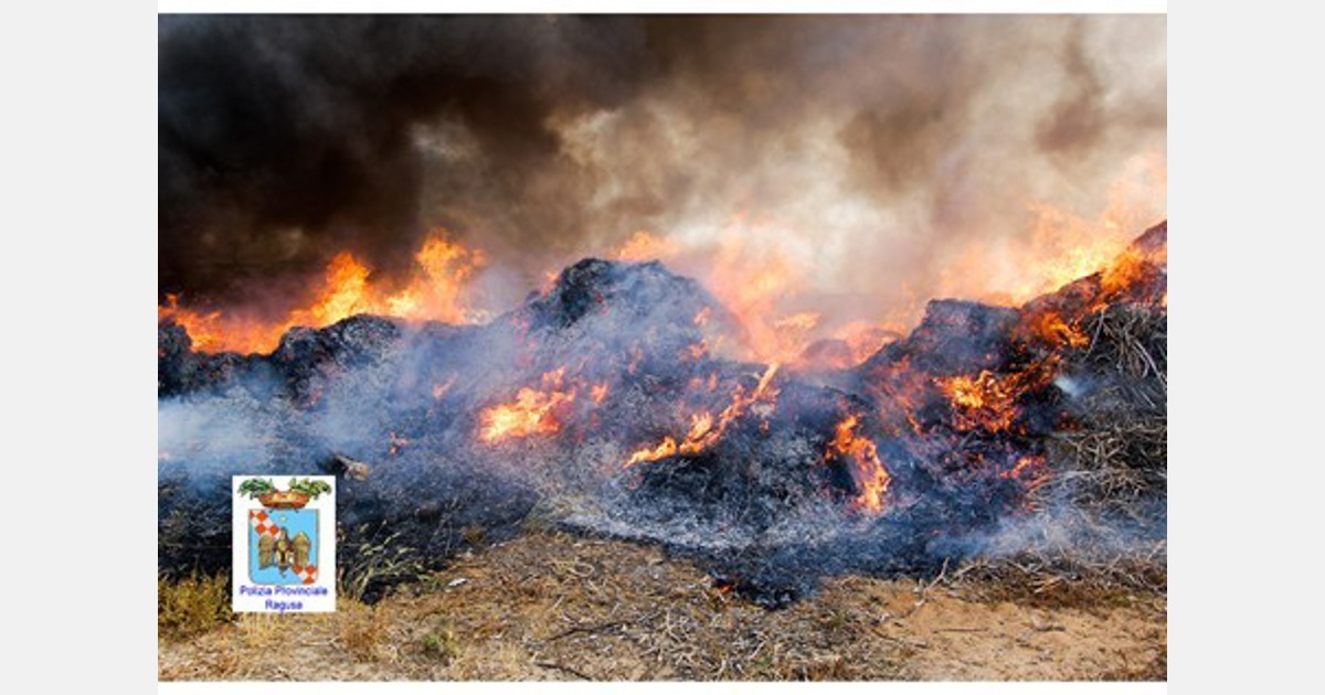 Scarti agricoli possono diventare carburanti ecologici