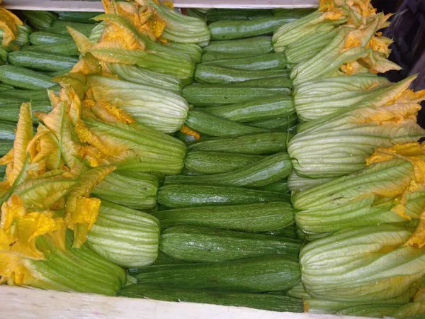 Zucchina con fiore: prodotto di nicchia che però trova la sua strada sui  mercati