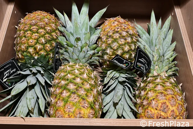 Frushi e ananas tagliati, Conad di Pescara va - Italiafruit News