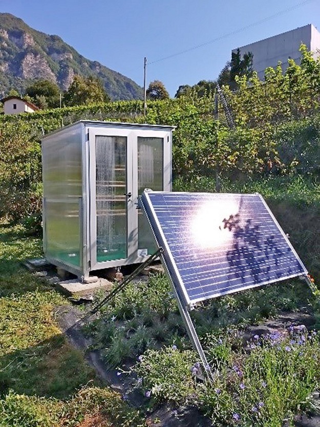 Essiccare frutta e verdura con pannelli fotovoltaici: ecco la tecnologia  innovativa