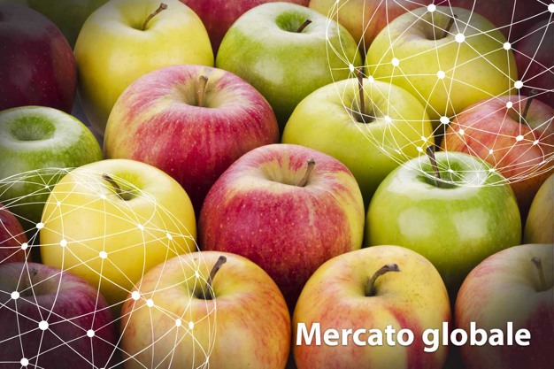 Focus sul mercato mondiale delle mele