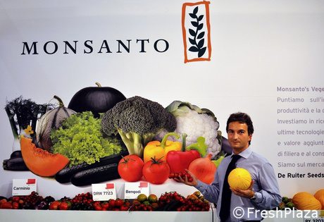 Intervista a Francesco Boccia Monsanto